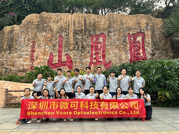 Vcore Team company building in the end of 2024